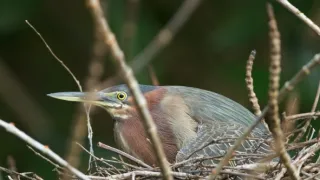 Kořeny života (2/3)