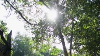 Kořeny života (2/3)