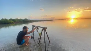 Kořeny života (2/3)