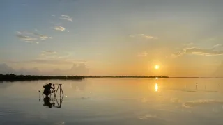 Kořeny života (2/3)