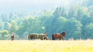 Svätojánsky venček