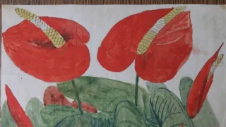 České stopy v rostlinné říši Latinské Ameriky