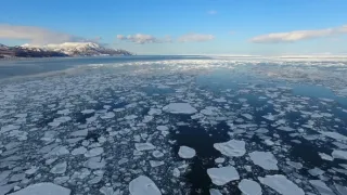 Kráľovstvo divočiny: Kosatka dravá, Japonsko