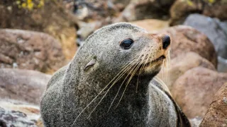 Cesty kolem světa (11/12)