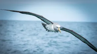 Cesty kolem světa (11/12)