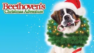 Beethovenovo vianočné dobrodružstvo