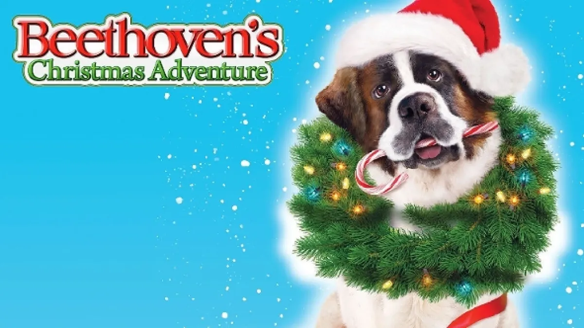 Beethovenovo vianočné dobrodružstvo (Beethoven's Christmas Adventure), 2011 - fotogaléria