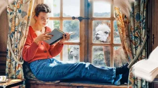 Jak mi Jane Austenová zničila život