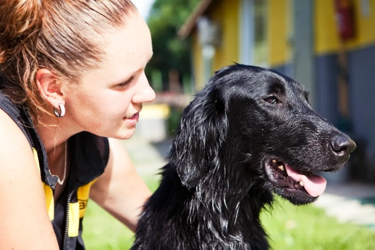 Život je pes, 2013 - fotogaléria