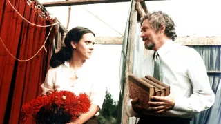 Pásla kone na betóne