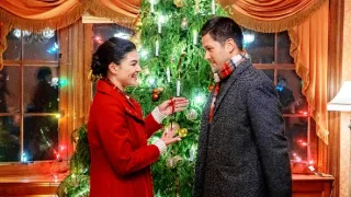 Svadba pod stromček