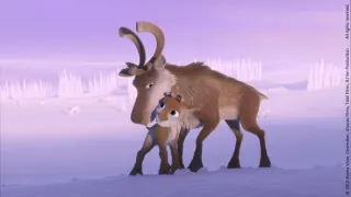 Sobík Niko 2