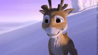 Sobík Niko 2