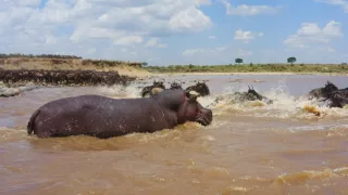 Zázračná planeta: Serengeti III (4/6)