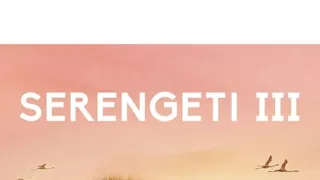 Zázračná planeta: Serengeti III (4/6)