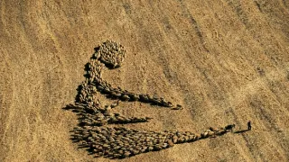 Středozemní moře - moře nás všech