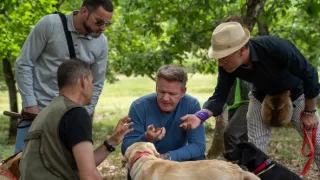 Gordon, Gino a Fred na cestách III (1)