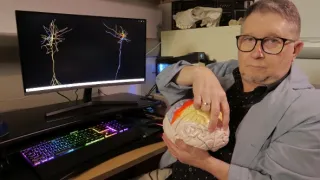 Zábava a sex v životě zvířat