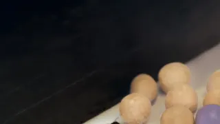 Zábava a sex v životě zvířat