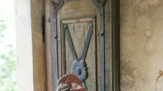 Tajemství Lesní země