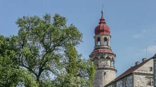 Tajemství Lesní země