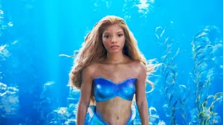 Malá mořská víla