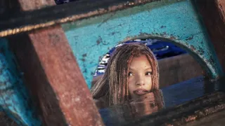 Malá mořská víla