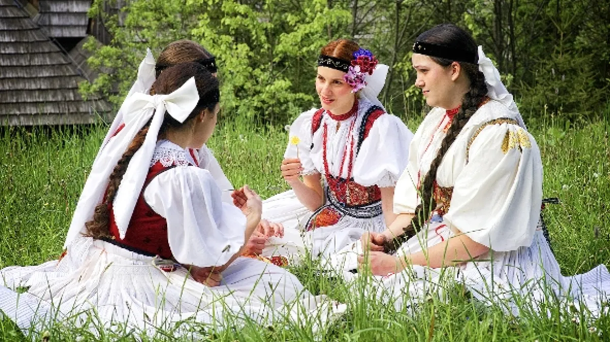 Sedem zhavranelých bratov, 2015 - fotogaléria