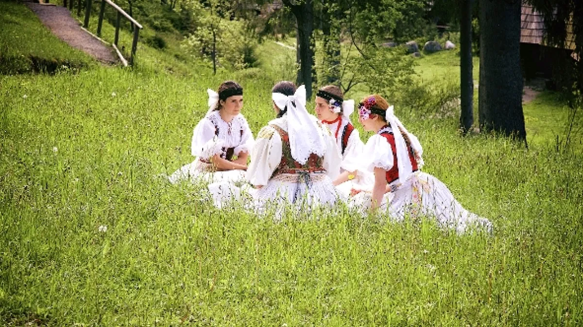 Sedem zhavranelých bratov, 2015 - fotogaléria
