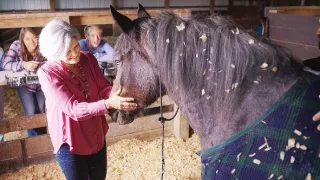 Zázrak menom Adeline
