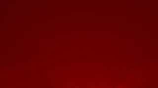 Výměna manželek XIX