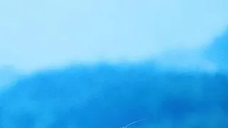 Pávie pierko