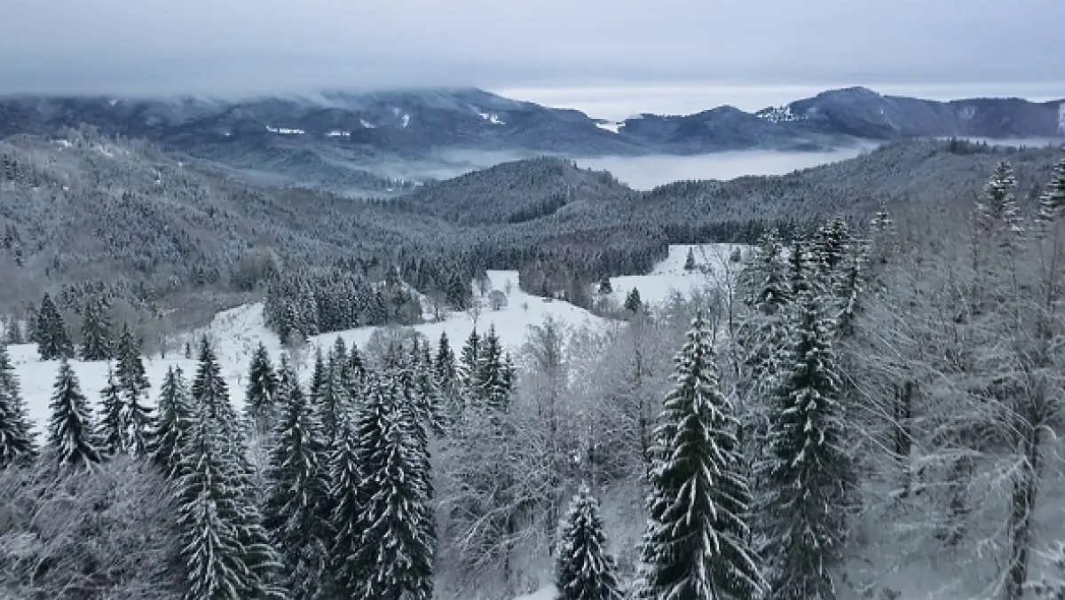 Divoká Poľana, 2021 - fotogaléria