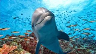 Cesty kolem světa (12/12)