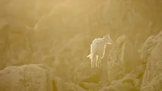 Narozeni ve Skalnatých horách (1/2)