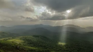 Skutečná Kniha džunglí