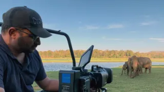 Skutečná Kniha džunglí