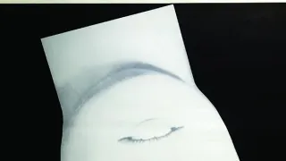 Akce Bororo