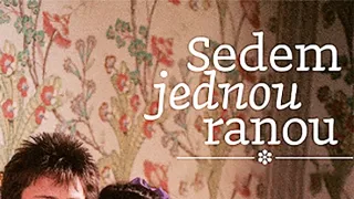 Sedem jednou ranou