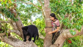Ella a čierny jaguár