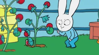 Charley miluje přírodu (9)