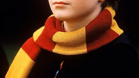 Harry Potter a Kámen mudrců