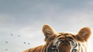 Zázračná planeta: Asie (6/7)