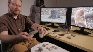 Zábava a sex v životě zvířat