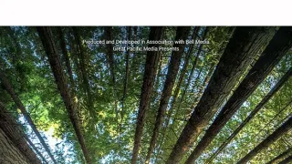 Dřevařští titáni (7)