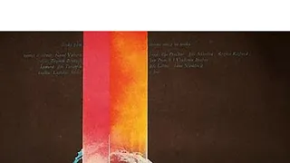 Stíhán a podezřelý