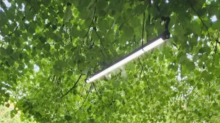 Ikony Kamila Střihavky (1/10)