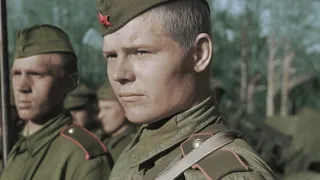 Apokalypsa: Hitlerův pád (1/2)