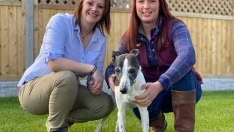 Veterinář z Yorkshiru XII (11)