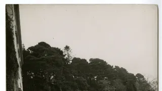 Záhada mysli Agathy Christie